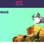 WildFortuneCasino2