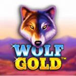 Wolf Gold