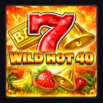 Wild Hot 40 Logo